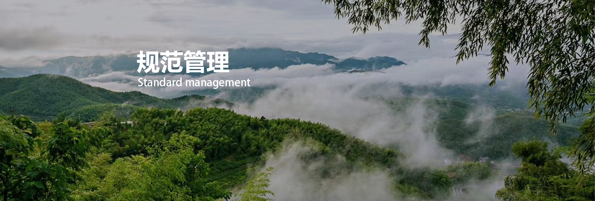 asiagame(中国区)官方网站